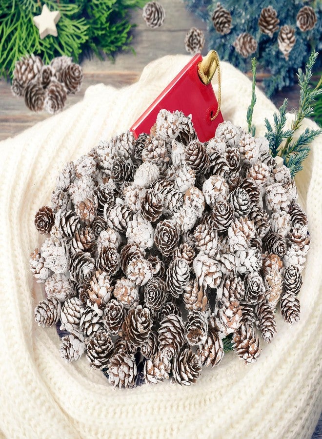 Helimoto 100 Pcs Snow Pine Cones, Mini Pinecones for Craft, Natural Cones Wreath, Christmas Bowl Stuff Winter Decorations Decor Accessories Party Suppliesfor Home Indoor Vase Filler - Image 4